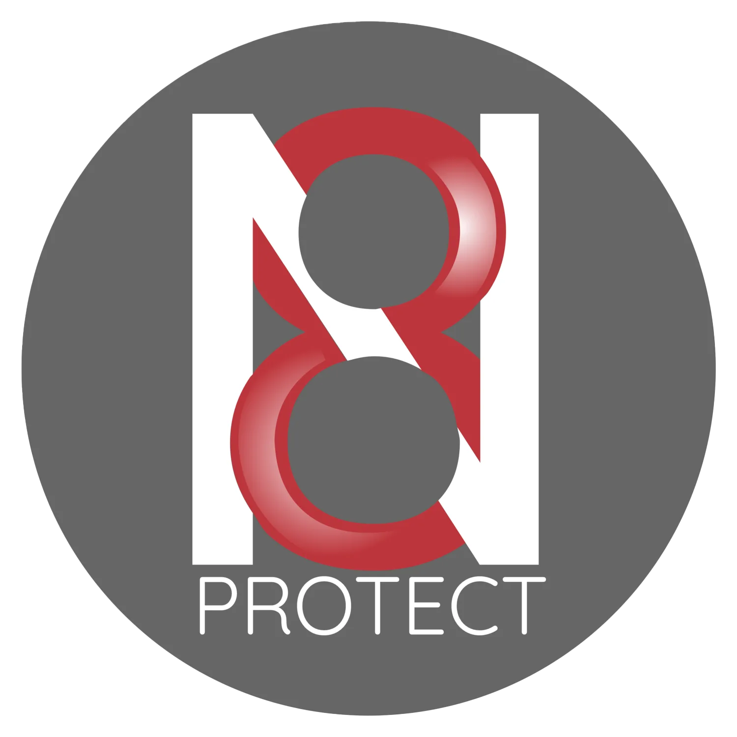 N8protect Logo Fin